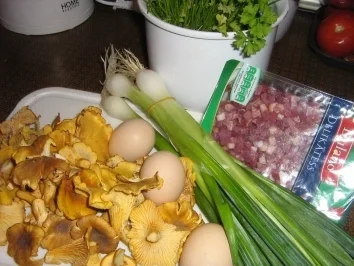 Rezept: Pfifferling-Omelett Bild Nr. 2 Pfifferling-Omelett - Rezept - Bild Nr. 2