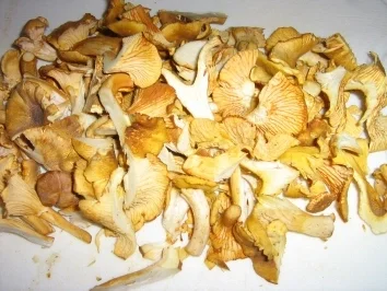 Rezept: Pfifferling-Omelett Bild Nr. 3 Pfifferling-Omelett - Rezept - Bild Nr. 3