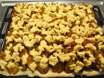 Pflaumenkuchen vom Blech - Rezept - Bild Nr. 7