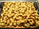 Pflaumenkuchen vom Blech - Rezept
