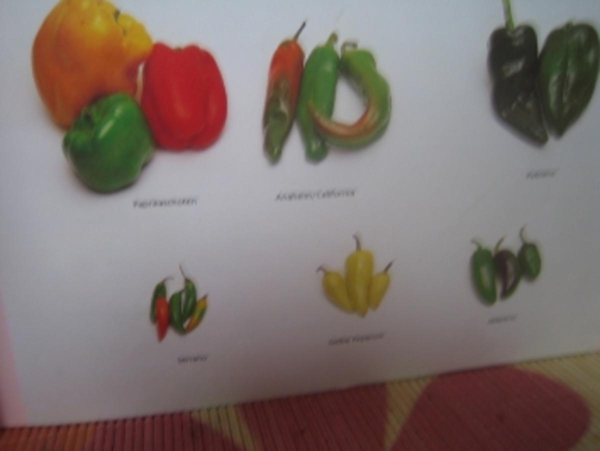 Allgemeines - Aufbereiten von Chilis für die mexikanische Küche - Rezept - Bild Nr. 2