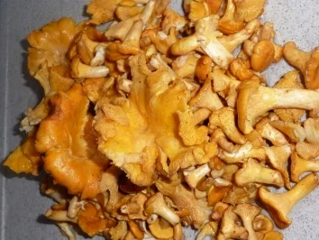 Pfifferlinge - Rezept - Bild Nr. 2