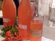 Ebereschen /  Vogelbeerapfelsirup - Rezept