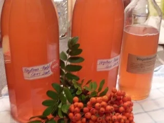 Ebereschen /  Vogelbeerapfelsirup - Rezept - Bild Nr. 4