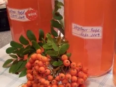 Ebereschen /  Vogelbeerapfelsirup - Rezept - Bild Nr. 6