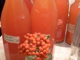 Eberesche / Vogelbeer - Marillensirup - Rezept