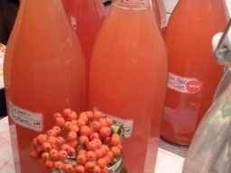 Eberesche / Vogelbeer - Marillensirup - Rezept - Bild Nr. 4