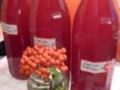Eberesche / Vogelbeerzwetschgensirup - Rezept