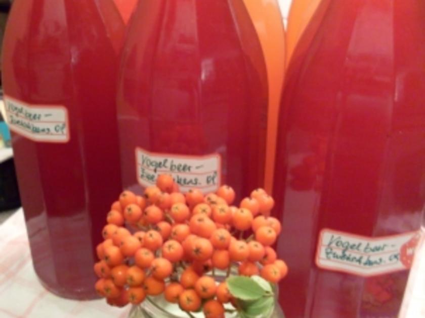 Eberesche / Vogelbeerzwetschgensirup - einfach - 128 kcal/100g