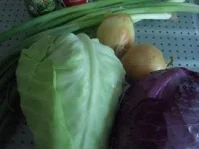 Bi-Spitzkohl mit Panhas und Bratkartoffeln - Rezept - Bild Nr. 2