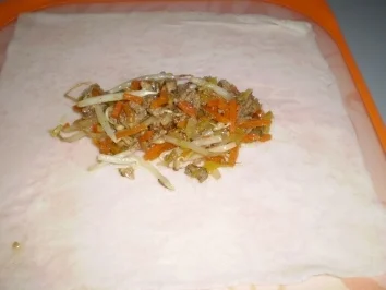  Frühlingsrollen - Rezept - Bild Nr. 3