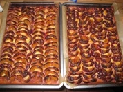 Frischer   Pfaumenkuchen  kein Hefeteig - Rezept