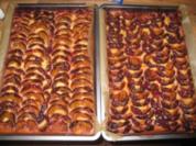 Frischer   Pfaumenkuchen  kein Hefeteig - Rezept