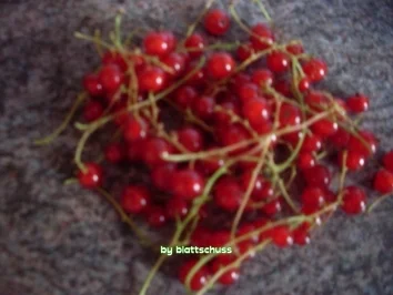 Einfache Johannisbeer-Marmelade - Rezept - Bild Nr. 2