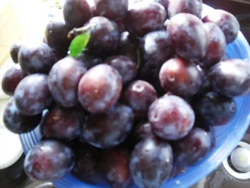 Kuchen- Pfälzer Quetschekuchen (Fotos) - Rezept