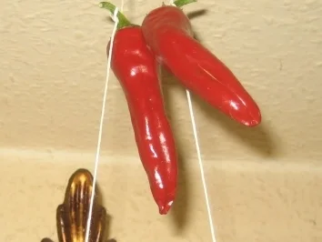 Rezept: Mexikanisch - Chilis für die mexikanische Küche Mexikanisch - Chilis für die mexikanische Küche - Rezept