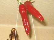 Mexikanisch - Chilis für die mexikanische Küche - Rezept