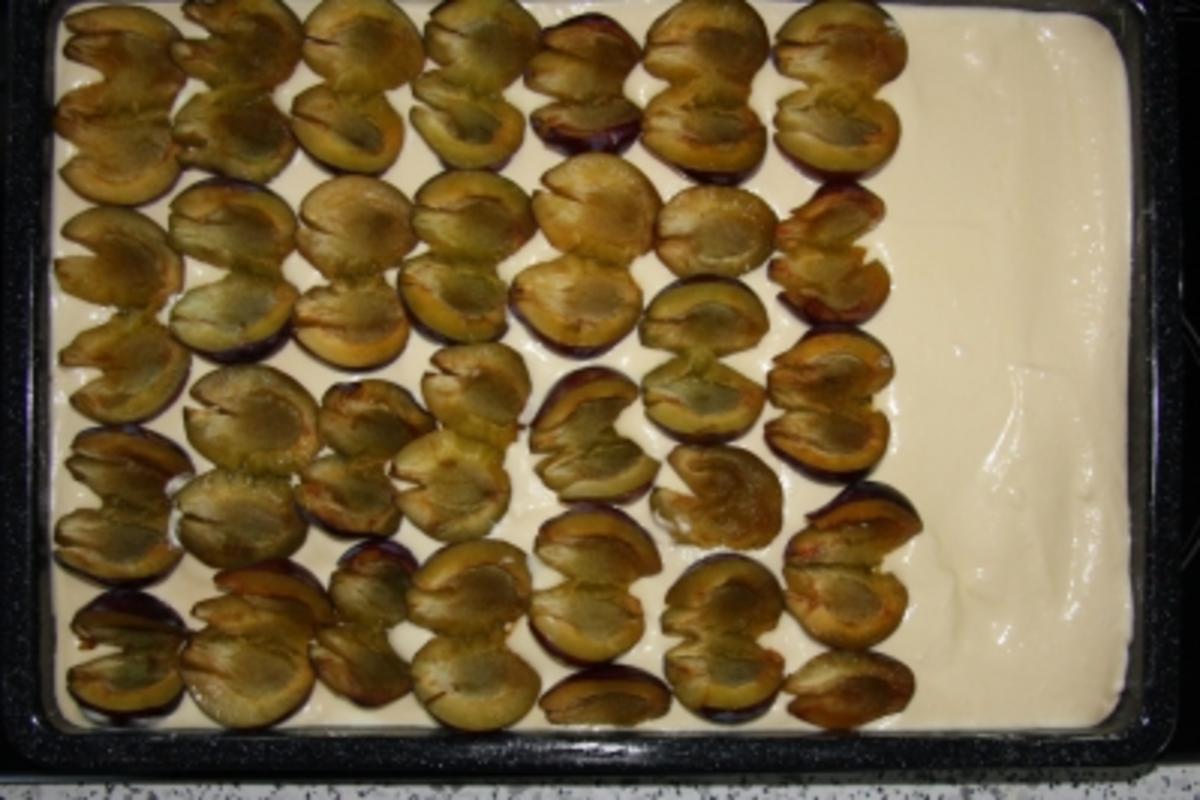 Pflaumen-Quark-Streuselkuchen vom Blech - Rezept - Bild Nr. 3