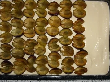 Pflaumen-Quark-Streuselkuchen vom Blech - Rezept - Bild Nr. 3