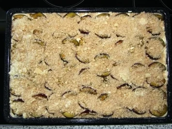 Pflaumen-Quark-Streuselkuchen vom Blech - Rezept - Bild Nr. 4