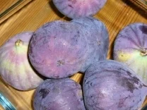 Rezept: Gebackene Feigen Bild Nr. 2 Gebackene Feigen - Rezept - Bild Nr. 2