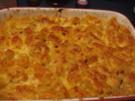Tomaten Nudel Auflauf - Rezept