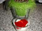 Joghurtmousse - Rezept