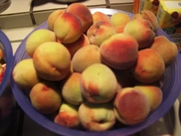 Rezept: Inges Weinberg-Pfirsichmarmelade (Foto) Inges Weinberg-Pfirsichmarmelade (Foto) - Rezept