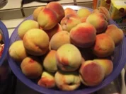 Inges Weinberg-Pfirsichmarmelade (Foto) - Rezept