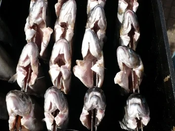 Rezept: Forelle - gold Bild Nr. 3 Forelle - gold - Rezept - Bild Nr. 3