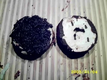 Rezept: Mutti hat Gelüste und der Lebkuchen läuft bald ab. Bild Nr. 6 Mutti hat Gelüste und der Lebkuchen läuft bald ab. - Rezept - Bild Nr. 6