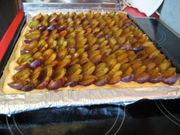 ZWETSCHGENKUCHEN - BLECH MIT RÜHRTEIG - 35x40cm - Rezept - Bild Nr. 3