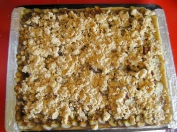 ZWETSCHGENKUCHEN - BLECH MIT RÜHRTEIG - 35x40cm - Rezept