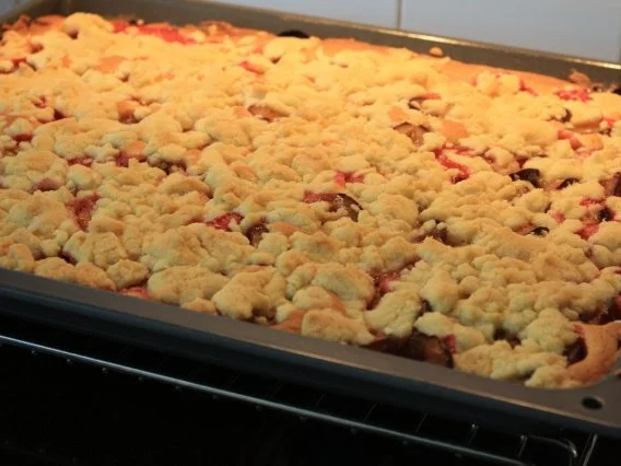 ZWETSCHGENKUCHEN - BLECH MIT RÜHRTEIG - 35x40cm - Rezept - Bild Nr. 6