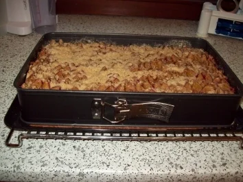 Zwetschgenkuchen mit Zimtstreusel - Rezept - Bild Nr. 2