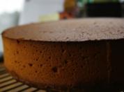 Pistazien- Rosenkuchen - Rezept