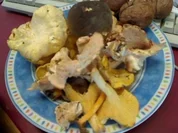 rassige Pilzsauce - Rezept