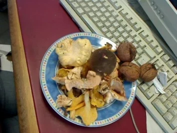 rassige Pilzsauce - Rezept - Bild Nr. 2