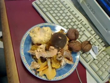 rassige Pilzsauce - Rezept - Bild Nr. 3