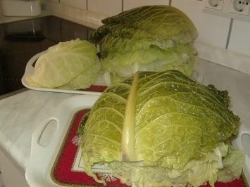 Rezept: Wirsing, gefüllt Bild Nr. 3 Wirsing, gefüllt - Rezept - Bild Nr. 3
