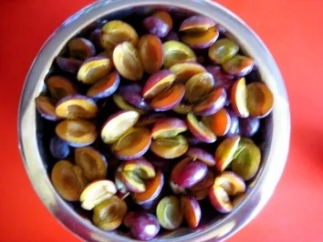 Rezept: Zwetschgen- Kompott haltbar gemacht - zuviel Zwetschgen, kein Problem Bild Nr. 2 Zwetschgen- Kompott haltbar gemacht - zuviel Zwetschgen, kein Problem - Rezept - Bild Nr. 2