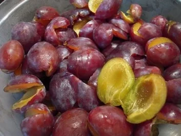 Rezept: Zwetschgenmarmelade á lá Elke Zwetschgenmarmelade á lá Elke - Rezept