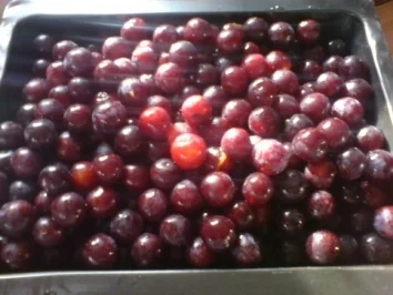 Rezept: Mirabellenmus Bild Nr. 5 Mirabellenmus - Rezept - Bild Nr. 5