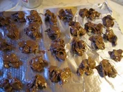 Rezept: Schoko-Crossies Schoko-Crossies - Rezept