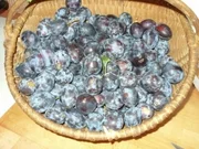 Oma's Pflaumenmus (Bilder sind eingestellt) - Rezept