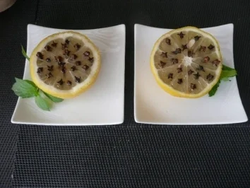 TIPP:Wespenscheu:Zitronen+Nelken - Rezept