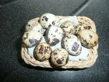 GEMÜSE :Zuccini-Karotten-Plätzchen - Rezept - Bild Nr. 5