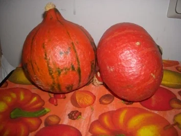 Rezept: Kürbissuppe nach Steirer Art Bild Nr. 2 Kürbissuppe nach Steirer Art - Rezept - Bild Nr. 2