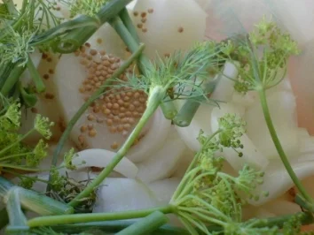 Rezept: Senfgurken Bild Nr. 11 Senfgurken - Rezept - Bild Nr. 11