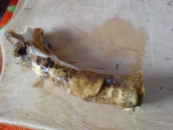 Rezept: Senfgurken Bild Nr. 13 Senfgurken - Rezept - Bild Nr. 13